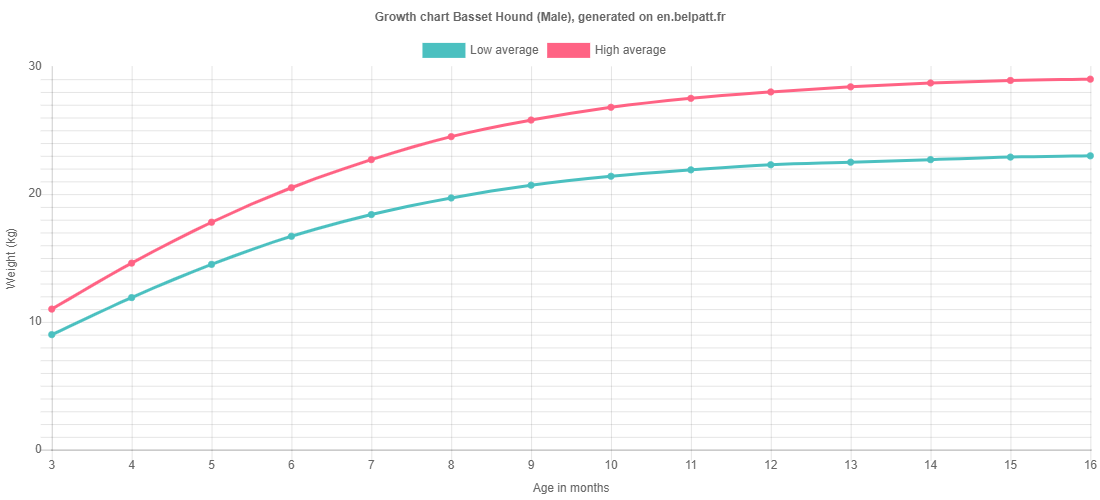 Growth chart Basset Hound male