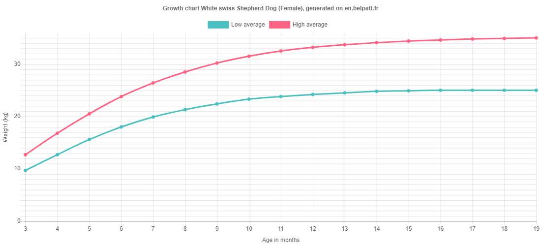 Growth chart White swiss Shepherd Dog female