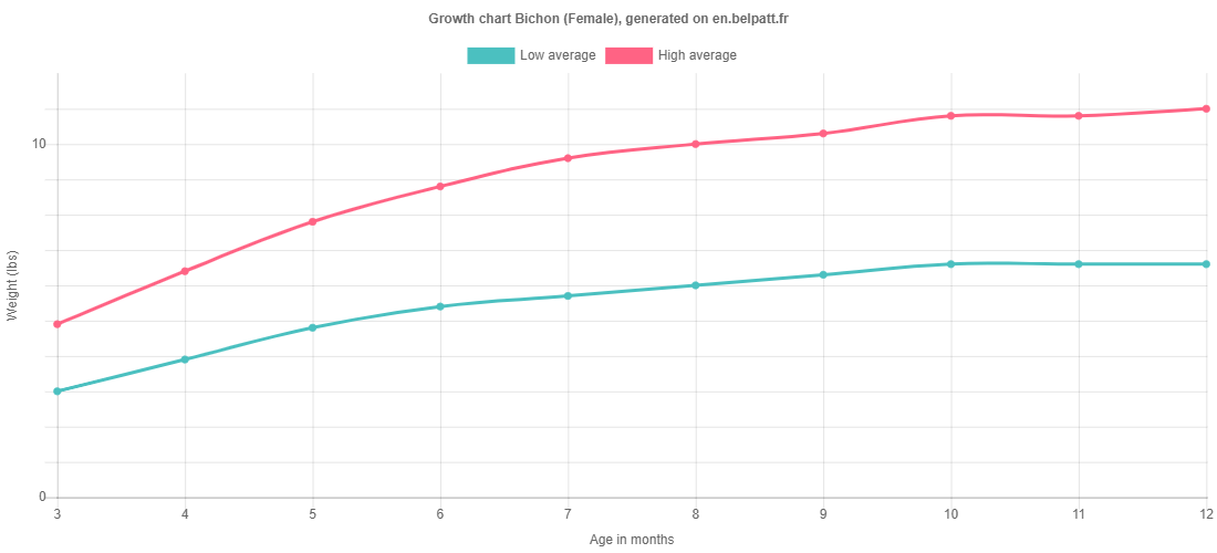 Growth chart Bichon female