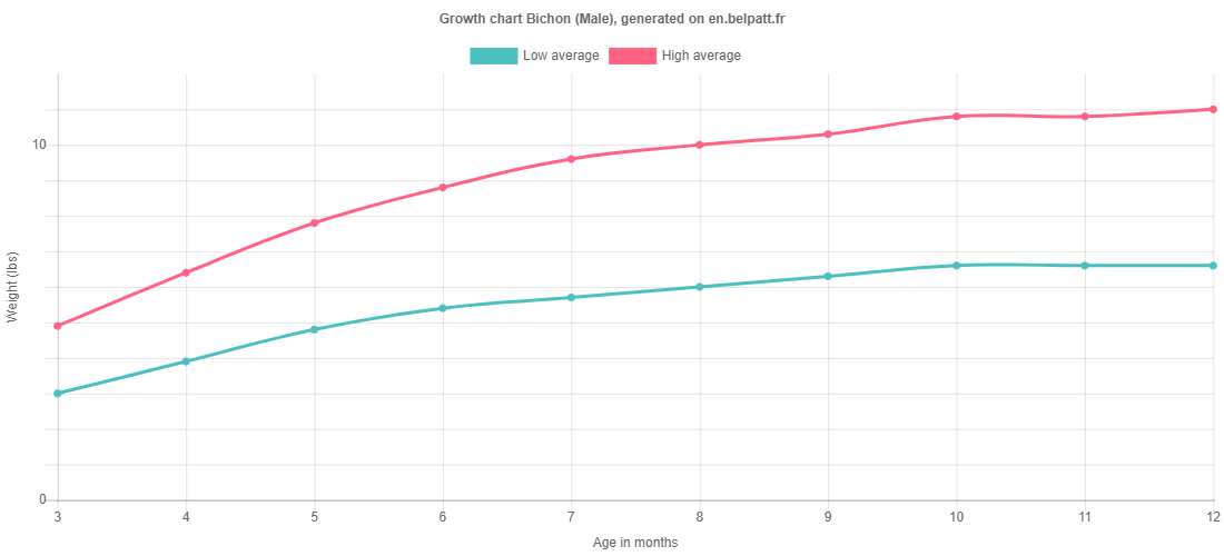 Growth chart Bichon male
