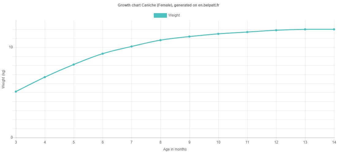 Growth chart Caniche female