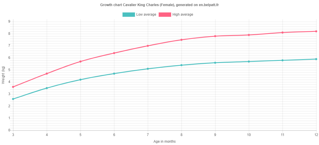Growth chart Cavalier King Charles female
