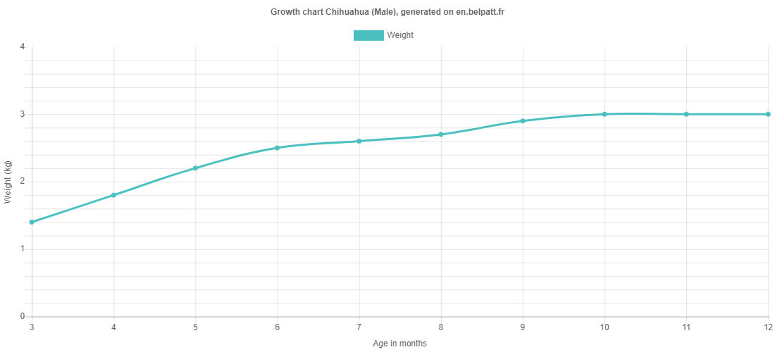 Growth chart Chihuahua male