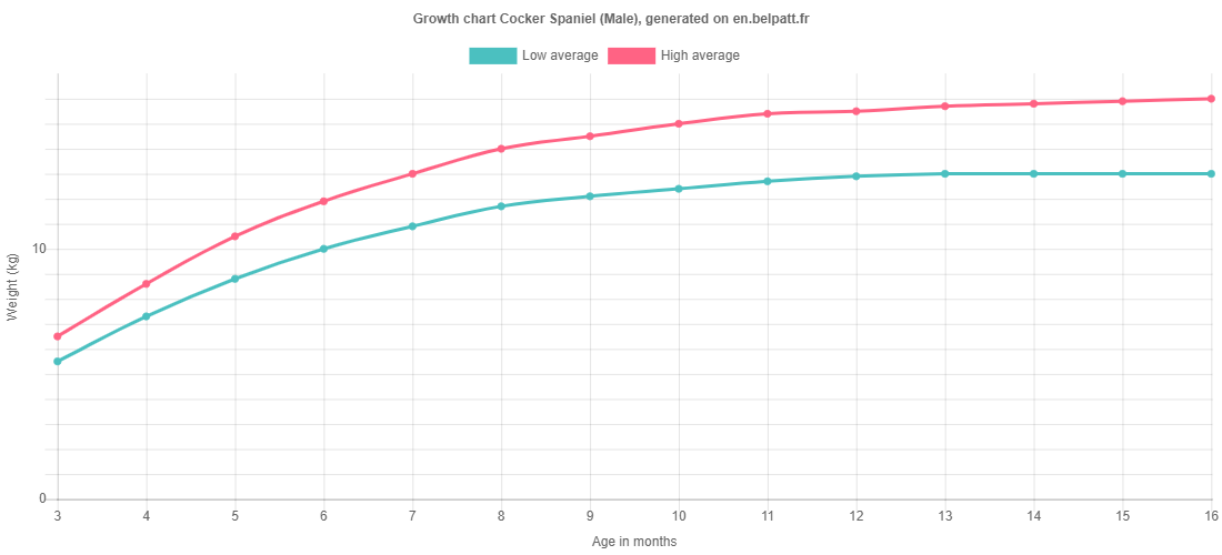 Growth chart Cocker Spaniel male
