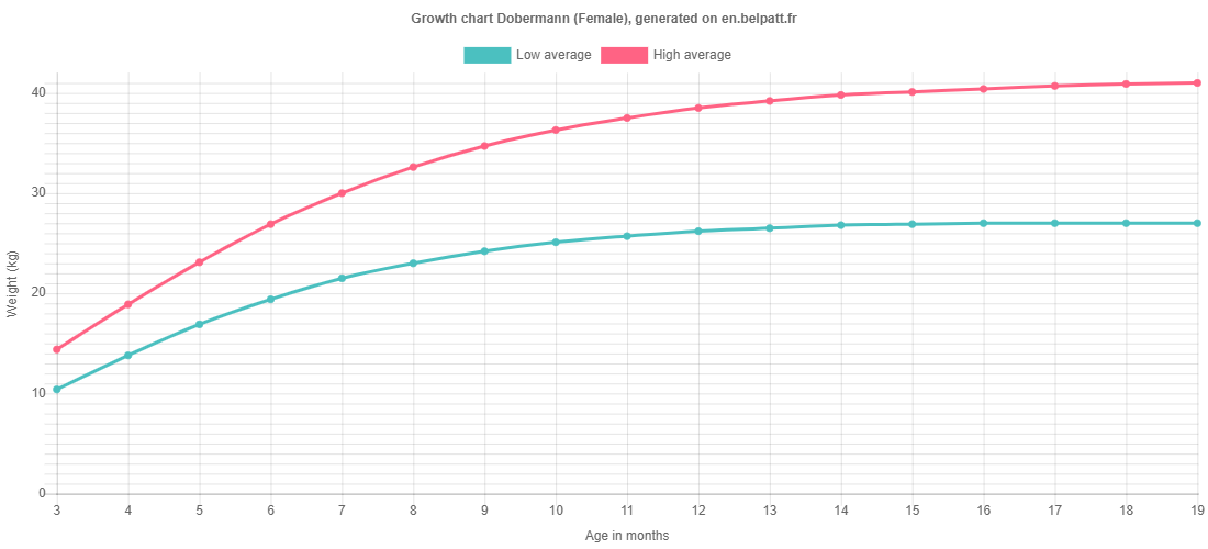 Growth chart Dobermann female
