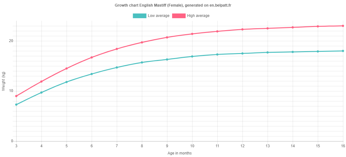 Growth chart English Mastiff female