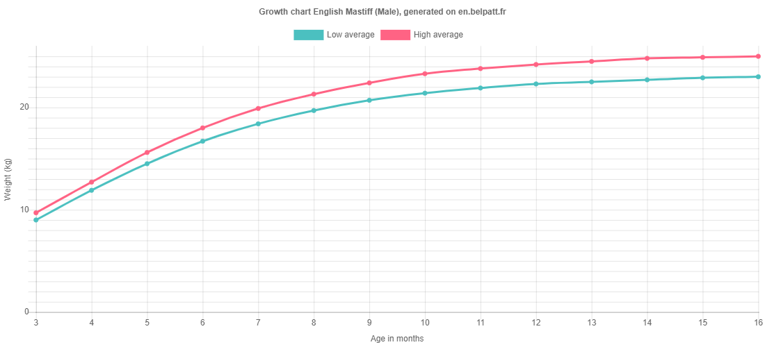 Growth chart English Mastiff male
