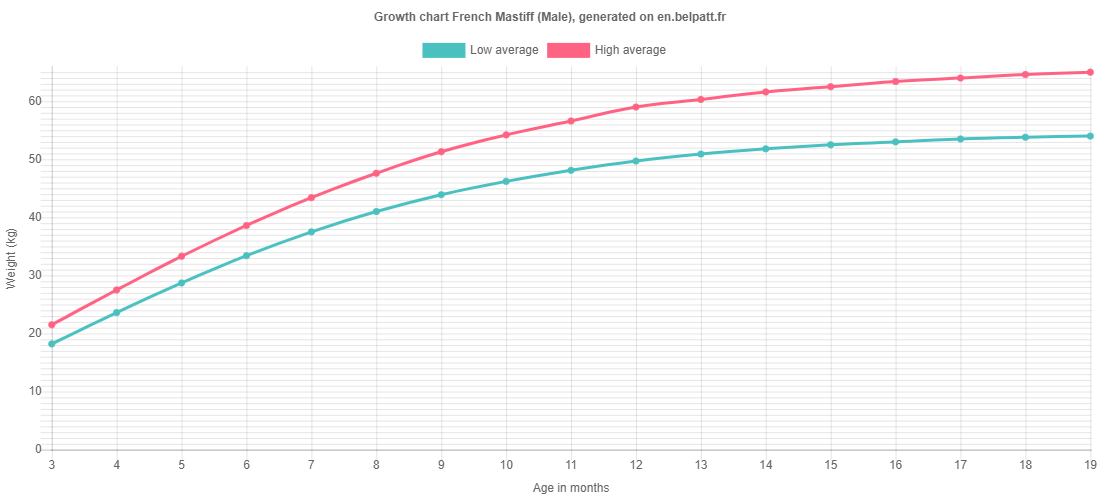 Growth chart French Mastiff male