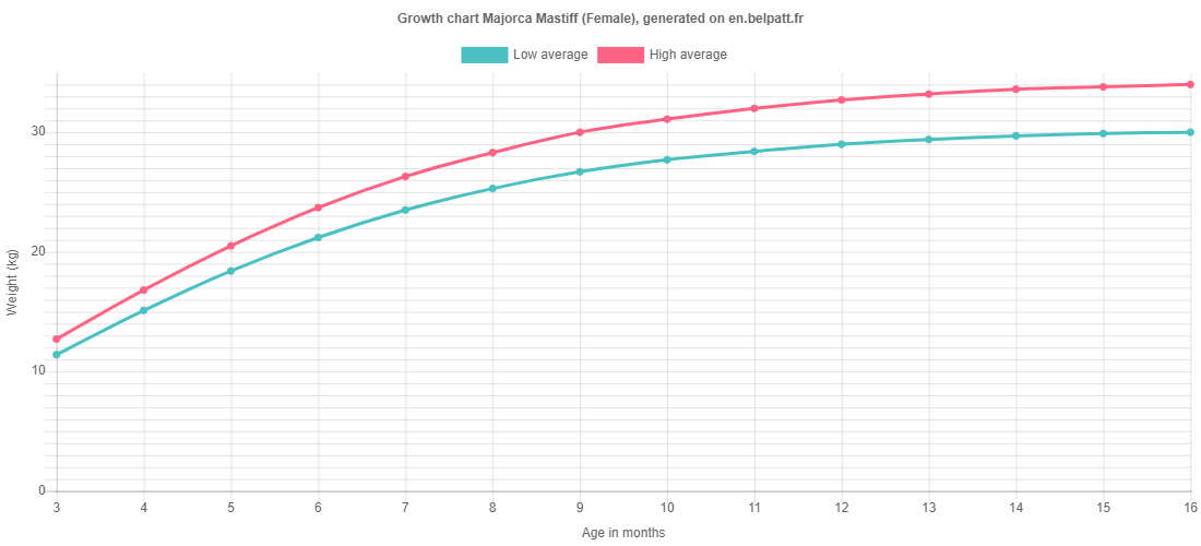 Growth chart Majorca Mastiff female
