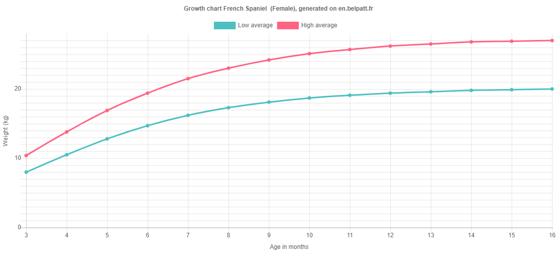 Growth chart French Spaniel  female