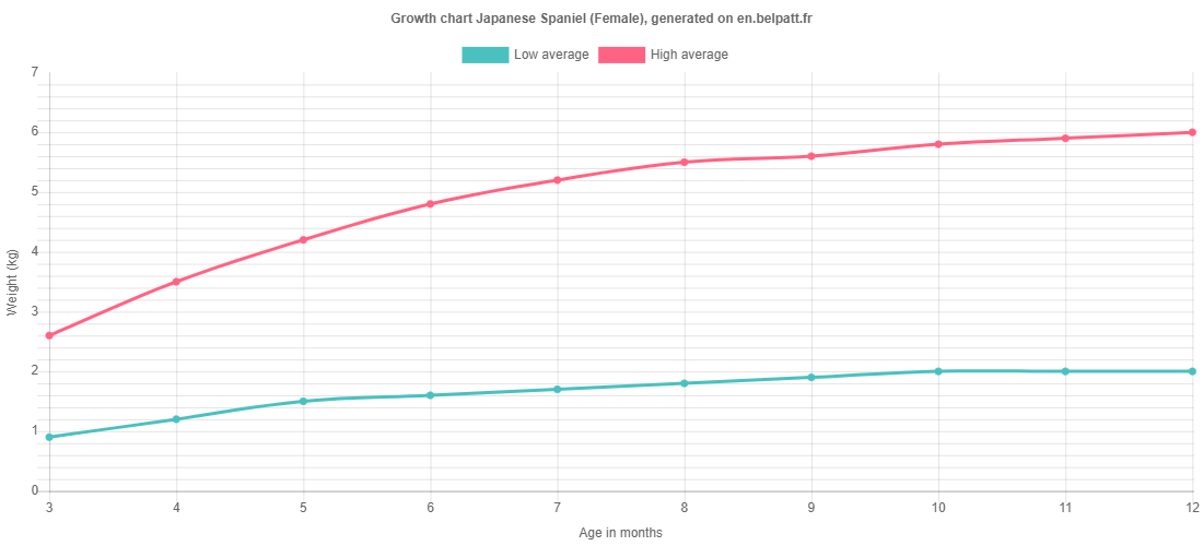 Growth chart Japanese Spaniel female