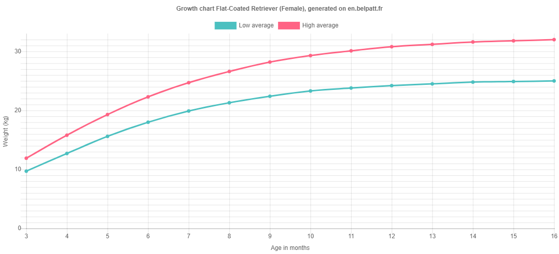 Growth chart Flat-Coated Retriever female