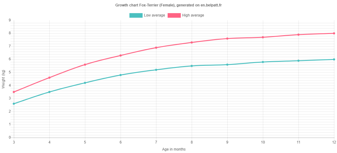 Growth chart Fox-Terrier female