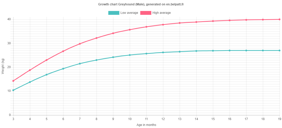 Growth chart Greyhound male
