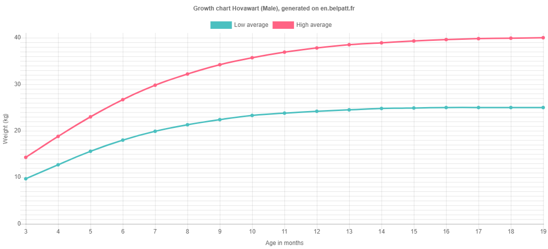 Growth chart Hovawart male
