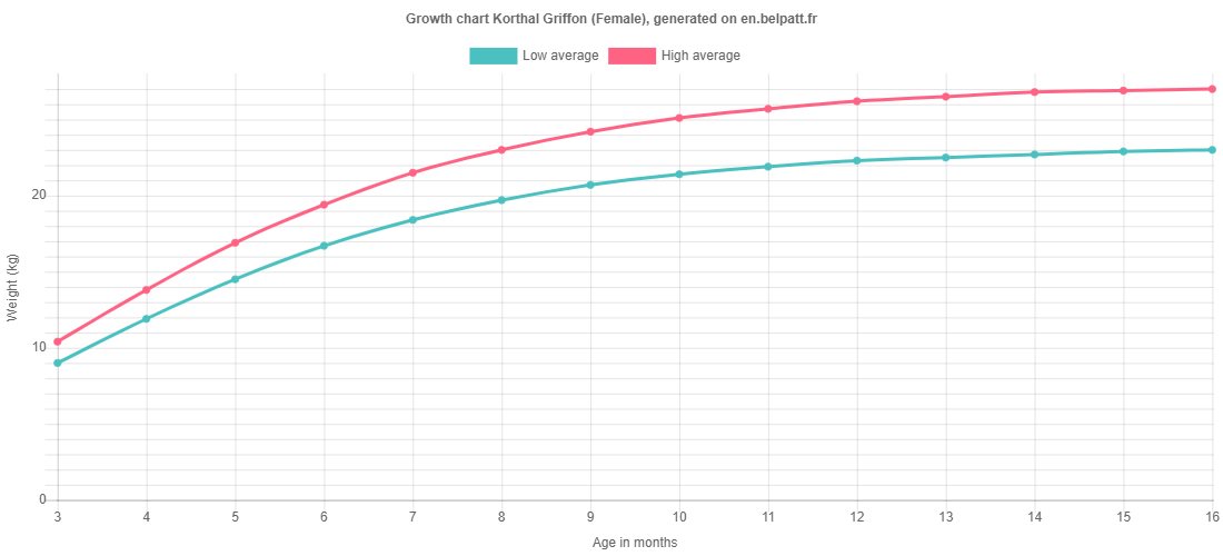 Growth chart Korthal Griffon female