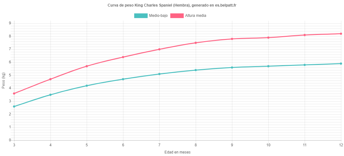Curva de crecimiento King Charles Spaniel hembra