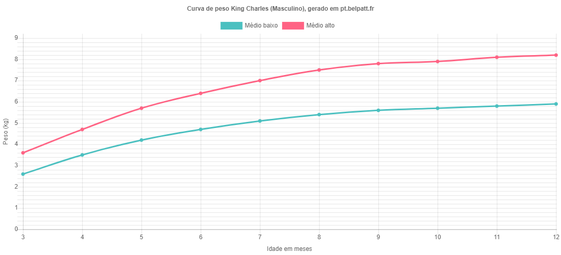 Curva de crescimento King Charles masculino