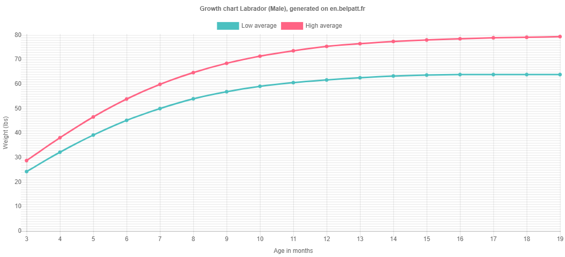 Growth chart Labrador male