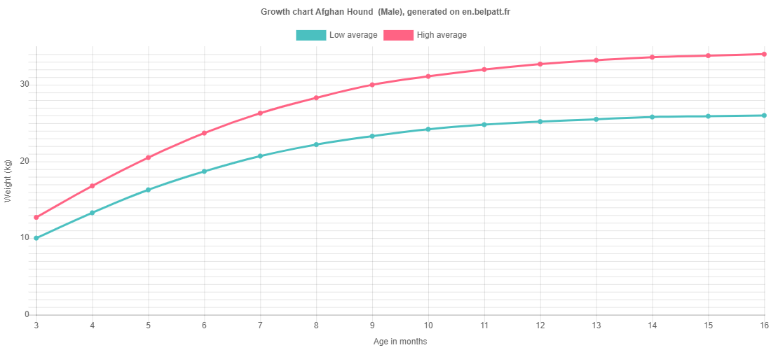 Growth chart Afghan Hound  male