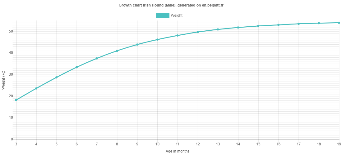 Growth chart Irish Hound male