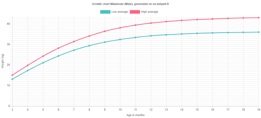 Growth chart Malamute male