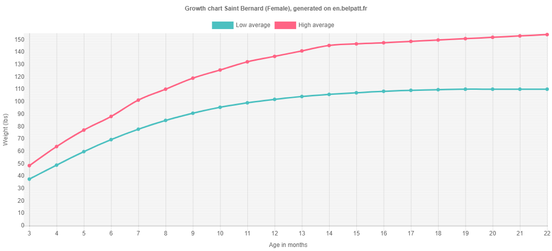 Growth chart Saint Bernard female