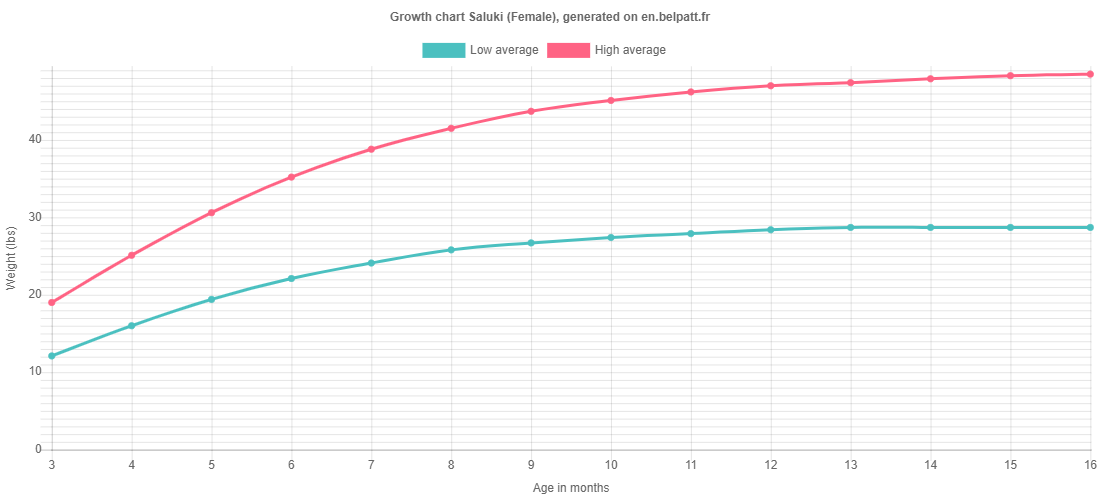 Growth chart Saluki female