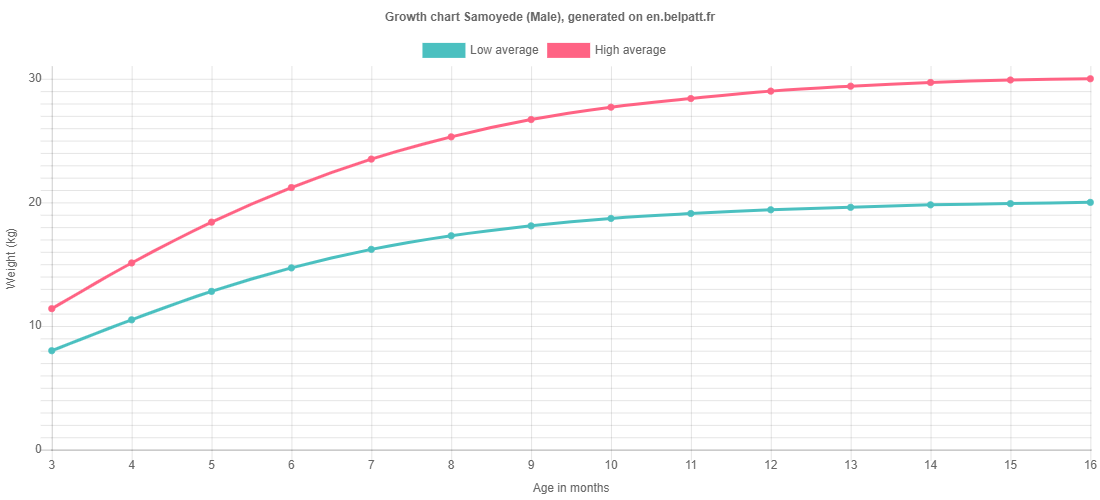 Growth chart Samoyede male
