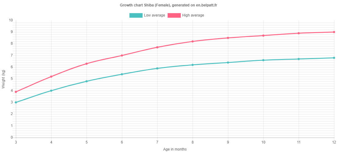 Growth chart Shiba female