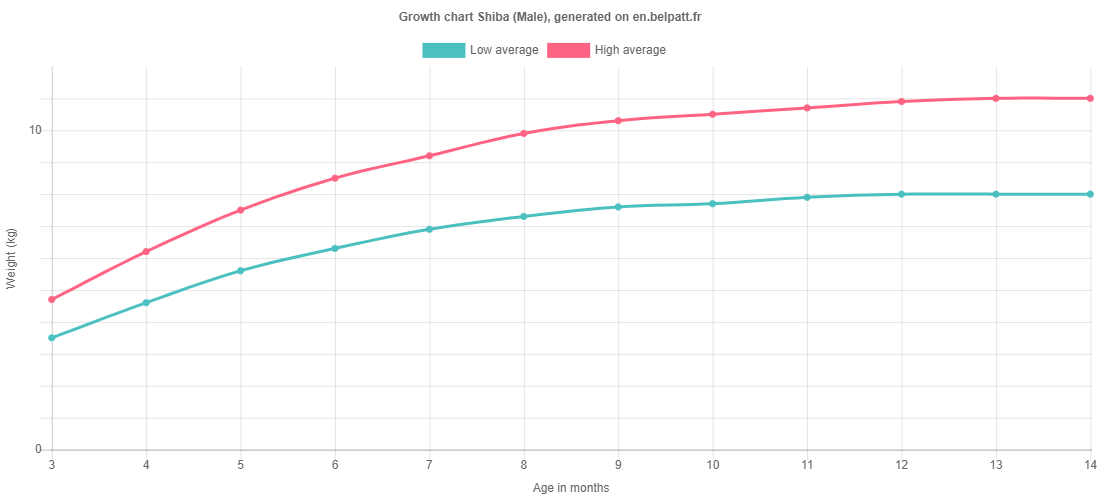 Growth chart Shiba male