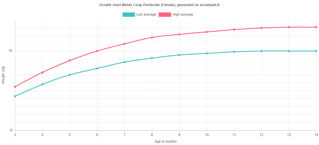 Growth chart Welsh Corgi Pembroke female