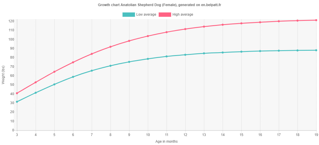Growth Anatolian Shepherd Dog Puppy weight chart Anatolian Shepherd Dog