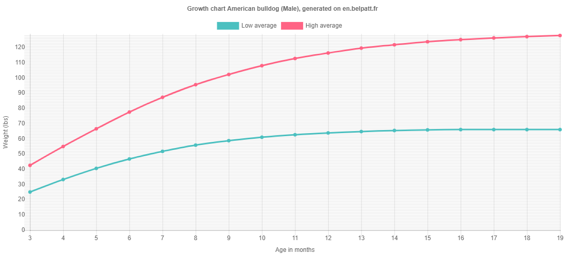 Growth American bulldog Puppy weight chart American bulldog