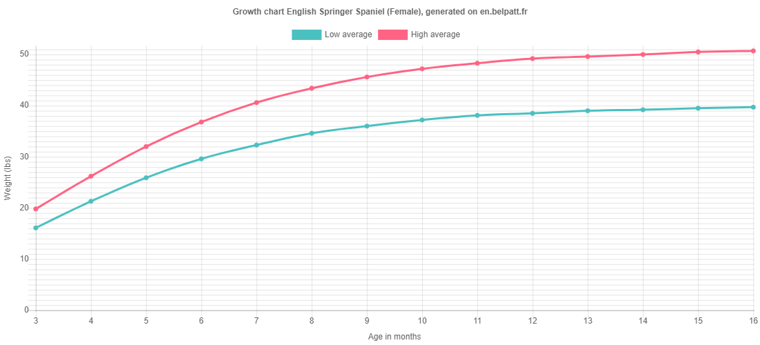 growth-english-springer-spaniel-puppy-weight-chart-english-springer-spaniel
