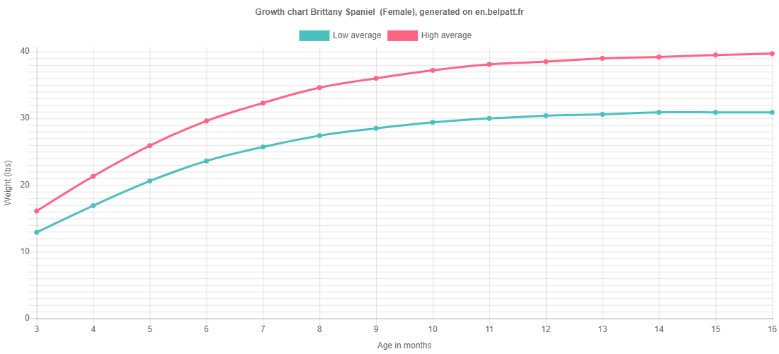 Growth Brittany Spaniel - Puppy Weight Chart Brittany Spaniel