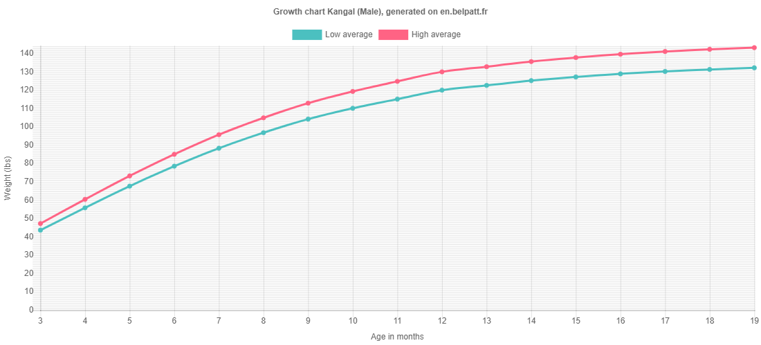 Growth Kangal Puppy weight chart Kangal