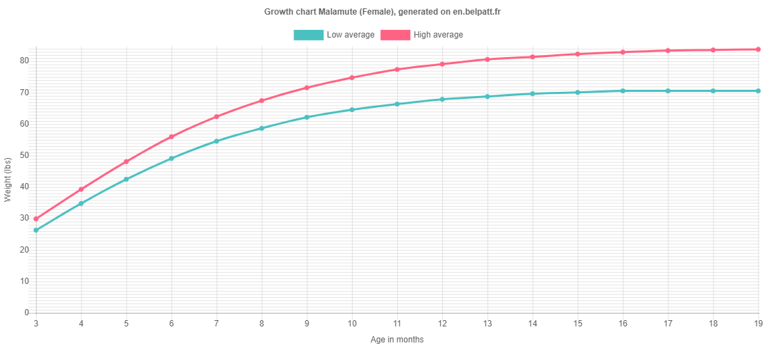 Growth Malamute Puppy weight chart Malamute