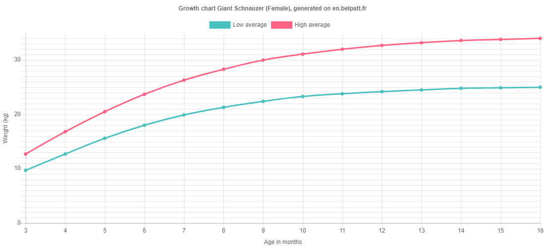 Growth Giant Schnauzer Puppy weight chart Giant Schnauzer