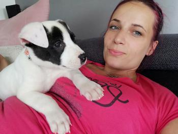 Thanos, Dogo argentino