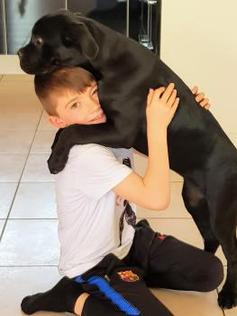 Only, Cane Corso