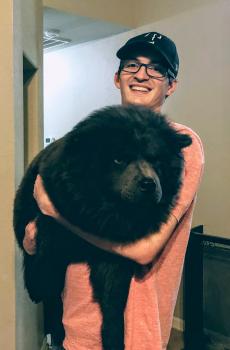 Kovu, Chow Chow