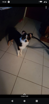 Pandora, Berger Australien
