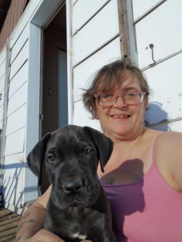 Whiskey, Dogue Allemand