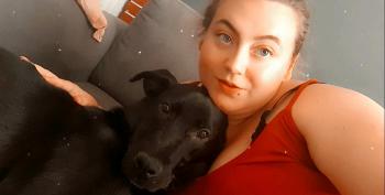 onix, Labrador Retriever
