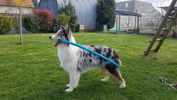 Slyde, Berger Australien