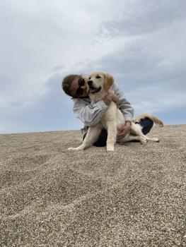 Polo, Golden Retriever