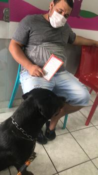 HEINEKEN, Rottweiler
