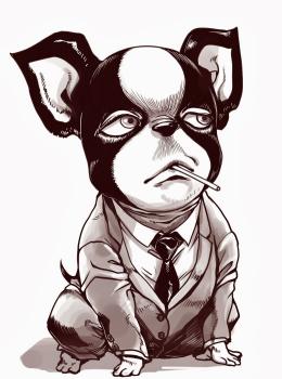 kronos, Boston Terrier