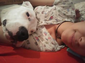 Sasha ..., Dogo Argentino